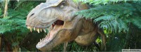 /album/capa-de-facebook/a0611-jurassic-park-capas-para-facebook-jpg/